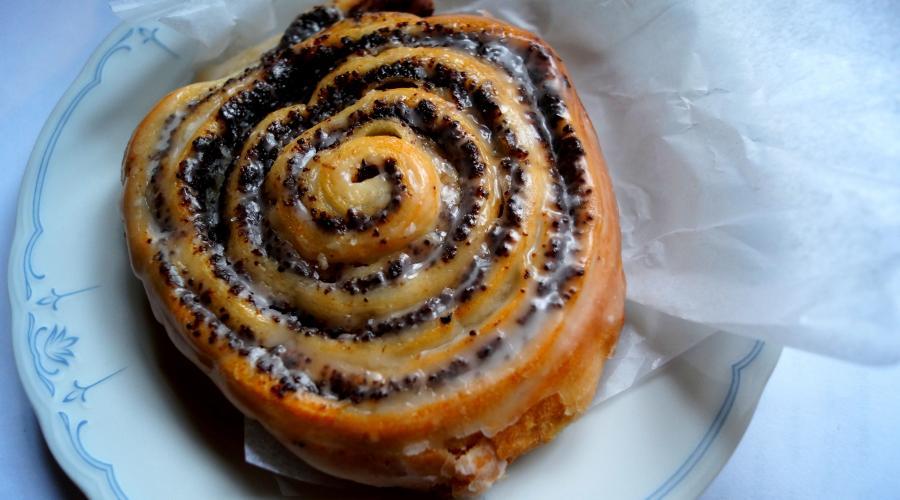 Bild zeigt: Mohnschnecken in der Auflösung 900x500