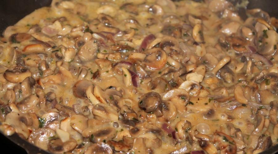 Bild zeigt: Pilzpfanne in der Auflösung 900x500