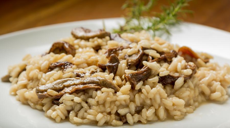 Bild zeigt: Shiitake Risotto in der Auflösung 900x500