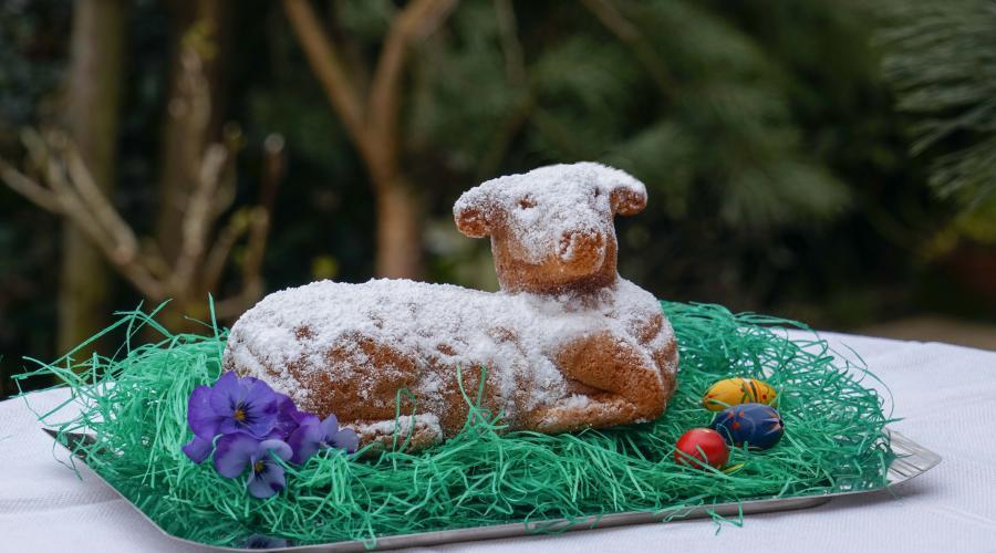 Bild zeigt: Süßes Osterlamm in der Auflösung 900x500
