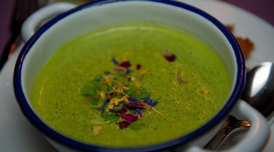 Bild zeigt: Mangoldsuppe in der Auflösung 900x500